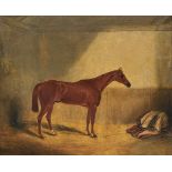 William Brocas A Bay Horse signed and dated 1844 oil on canvas 61,5 by 74cm