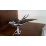 A chrome swallow car mascot, 18.5cm long