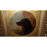 English School, 19th century, head and shoulders portrait of a spaniel, unsigned, oil on canvas,