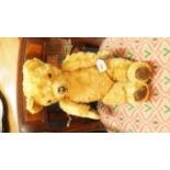 An old English golden mohair teddy bear,