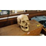 An old anatomical skeleton, with skull, lacking parts of one arm and leg, in old pine box,