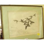 Winifred Austin, ducks in flight, signed in pencil, etching, pl.21.5x 29cm.