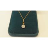 A 9ct yellow gold and diamond cluster pendant on a 9ct gold fine chain.