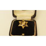 An 18ct gold and enamel lapel badge, set two small diamonds, A.A.O.C Ltd, long service, 4.