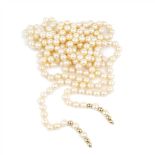 COLLAR SAUTOIR DE PERLAS hilo de perlas cultivadas, decorado en los extremos con cuentas de oro.