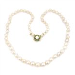 COLLAR DE PERLAS Y TURQUESAS perlas en degradee, con cierre de oro amarillo, con una perla central y