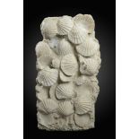 Fossils: A large conglomerate Pectin plaque  Marseilles, Miocene 97cm.; 38ins high