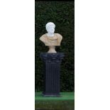 Garden Sculpture: A carved white and variegated marble classical bust of a Antoninus Pius    last