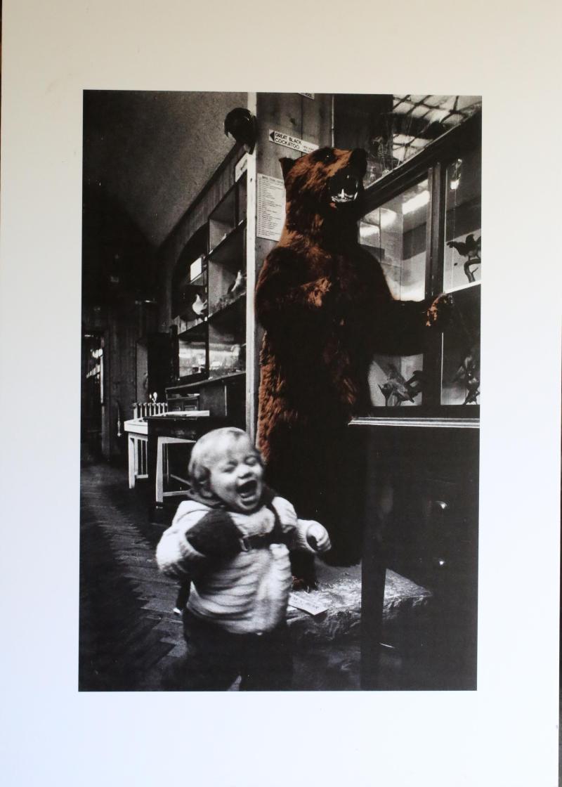 *†Eddie Powell (b.1950)  Man and Beast 6 Haslemere Museum Sam and Brown Bear Mounted but unframed