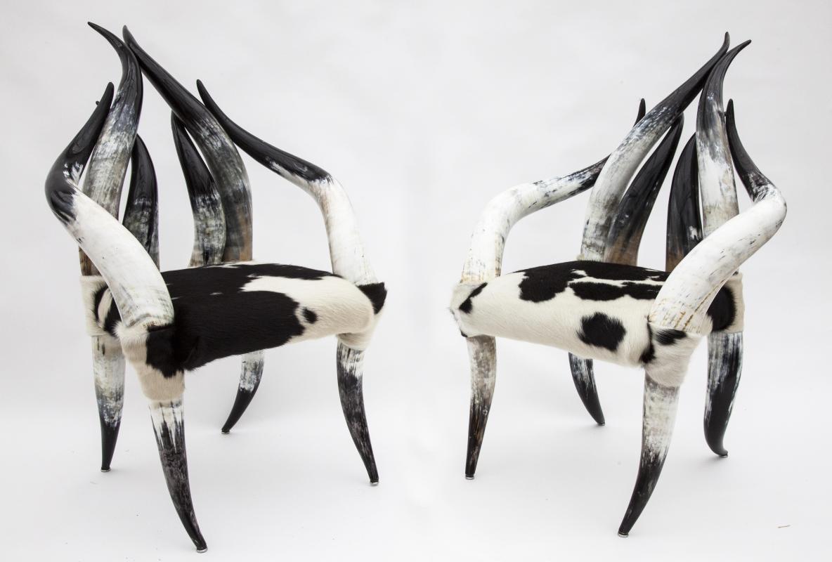 Natural History:A pair of Horn and Hide Chairs  Ugini Cattle 110cm.; 43¼ins high by 75cm.; 29½ins