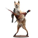 Fox and Pheasant  Taxidermy and Shotgun 94cm.; 37ins high by 68cm.; 27ins wide by 49cm.; 19½ins