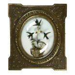 Taxidermy:A display of three hummingbirds and an orchid in oval glass dome wall frame  Continental,