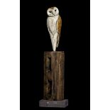 Sculpture: David Cooke  Barn Owl with adjustable head Stoneware ceramic on oak and slate base 88cm.;