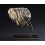 Natural History: A Mammoth tooth  Ice Age on metal stand 26cm.; 10ins overall