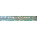 Horticulture:  A Cupressus Nurseries Advertising wagon board  English,  mid 20th century 242.5cm.;