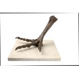 A Moa foot  bronze on limestone base 41cm.; 16ins high  See footnote to lot 76