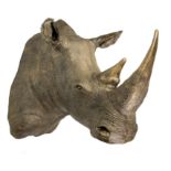 A bronze resin Rhino head   modern 148cm.; 58ins deep