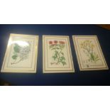 3 Royal Worcester 1983 plaques