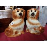 Pair Staffordshire dogs