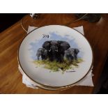 Wedgwood David Shepherd plates