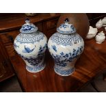 Blue and white pair vases