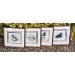 A SET OF FOUR MID 20TH CENTURY COLOURED PRINTS  Ducks, gilt framed and glazed. (47cm x 43cm)