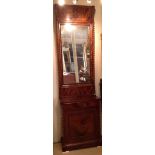 A 19TH CENTURY MAHOGANY MIRRORED BACKED HALL CABINET  The framed panel above a silvered plate,