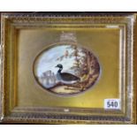 AN EARLY 19TH CENTURY HAND PAINTED PORCELAIN OVAL PLAQUE Of a Brent goose in idealised landscape (