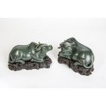 A PAIR OF QING, 18th CENTURY, SPINACH-GREEN JADE CARVED BUFFALOES Recumbent with heads raised,