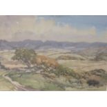 R. HARLEY-SMITH, A 20TH CENTURY WATERCOLOUR Landscape, 'Wild Wales', rolling hills and mountains