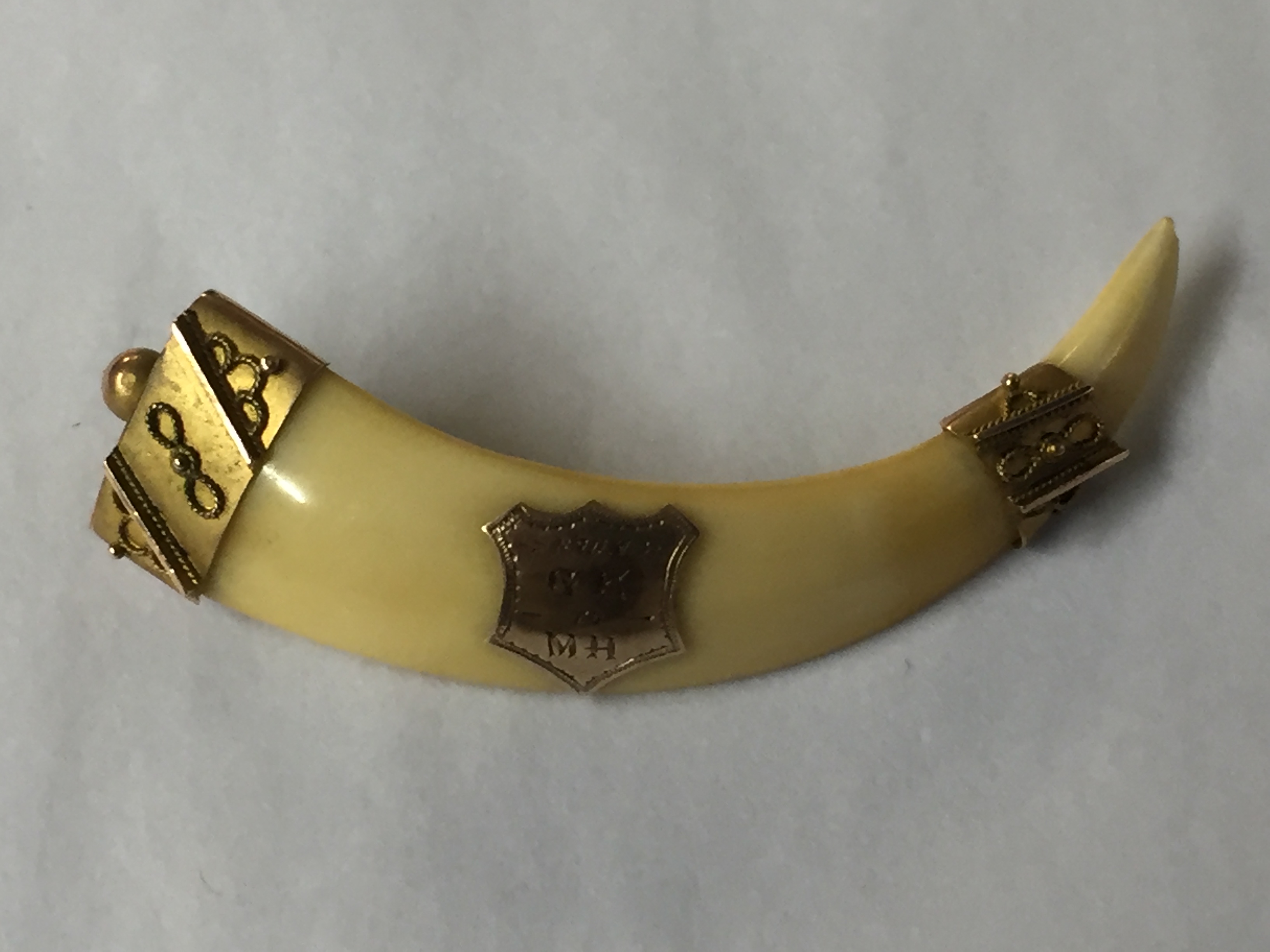 A 19TH CENTURY GOLD MOUNTED BOAR'S TUSK Bearing an inscribed shield, from G.E. to M.H.. 5602/15871/