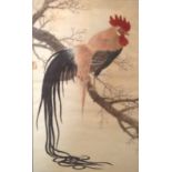 AN ANTIQUE CHINESE WATERCOLOUR Of a cockerel perched on a tree branch, with long flowing tail