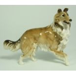 Rosenthal of Germany Hutschen Reuther Sable Collie.