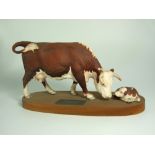 Beswick Hereford Cow and Calf on Wooden Plinth. Connoisseur   Series (A 2667/2669).