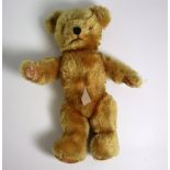 Farnell Teddy Bear (12”).