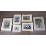 JAN FERGUSON – 4 Framed Bird Prints plus Signed Print by JOHN GUBBINS and Print by HILARY BURN. £