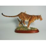 Border Fine Arts Tiger – A5048 (with box). £30/40