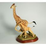 Border Fine Arts Giraffe with Calf – A5407 (with box). £40/50