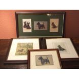 4 Framed Prints of West Highland Terriers. £20/30