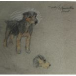 VERNON STOKES – Pastel Sketch of a Border Terrier. Provenance – Consigned by Family Friends of