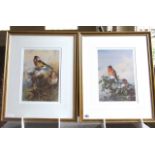 ARCHIBALD THORBURN – Pair of Framed Limited Edition Prints. Goldfinches and Bullfinches - both 515/