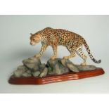 Border Fine Arts Leopard – A3065 (with box). £30/40