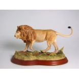 Border Fine Arts Lion – A5047 (with box). £30/40