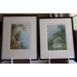 ARCHIBALD THORBURN – Redstarts. Signed Artist’s Proof (10½” x 8”) and Signed Print (10½” x 8”). £