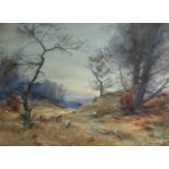 J MCALDOWIE – Sheep in a Landscape. Watercolour. Signed. Dated. (11¼” x 15¼”). £60/80