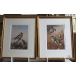 ARCHIBALD THORBURN – Pair of Framed Limited Edition Prints. Finches and Tits – both 515/1500 (11” x