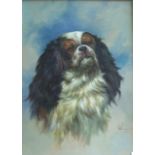 Oil Portrait of a King Charles Spaniel,indistinctly signed. 22.75” x 16” £80/120