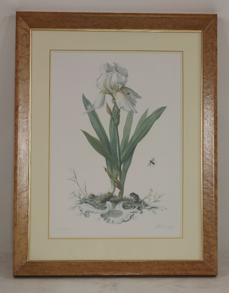 Graham Rust (b.1942)BOTANICAL PRINTSThree, signed in pencil and numbered57 x 41cm (3) - Image 3 of 3