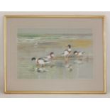 Roland Green (1890-1972)FOUR SHELDUCK FEEDINGSigned l.r., watercolour and bodycolour35.5. x 51.5cm