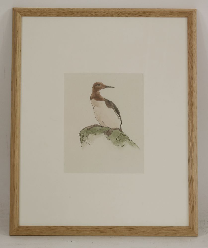 Richard Barrett Talbot Kelly (1896-1971)HERONPen and brown ink27.5 x 22cm;and another of a GUILLEMOT - Image 2 of 2